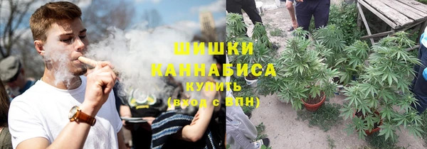 PSILOCYBIN Арсеньев