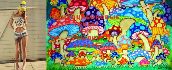 PSILOCYBIN Арсеньев