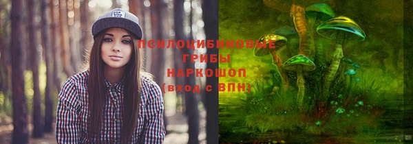 таблы Армянск