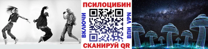 гидра вход  что такое наркотик  Николаевск-на-Амуре  Псилоцибиновые грибы Psilocybe 